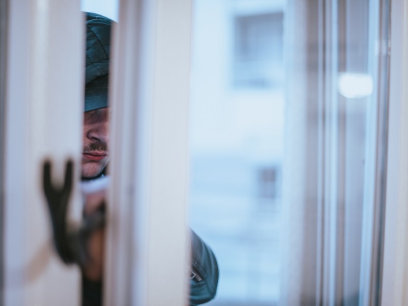 Adeslas mascota robo